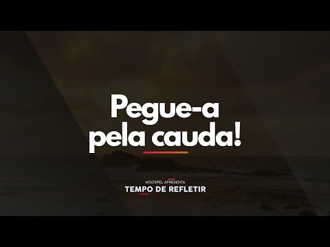 [Tempo de Refletir] Pegue-a pela cauda!