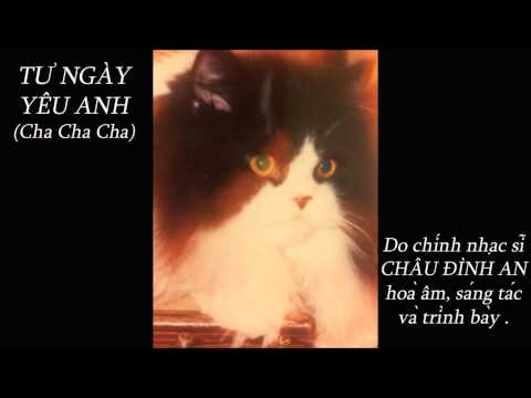 Từ ngày yêu anh - Châu Đình An