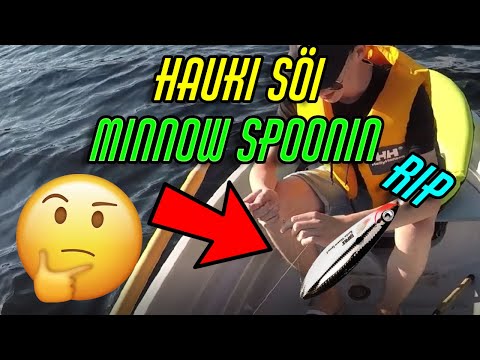 Kalastusta Kesällä 2021