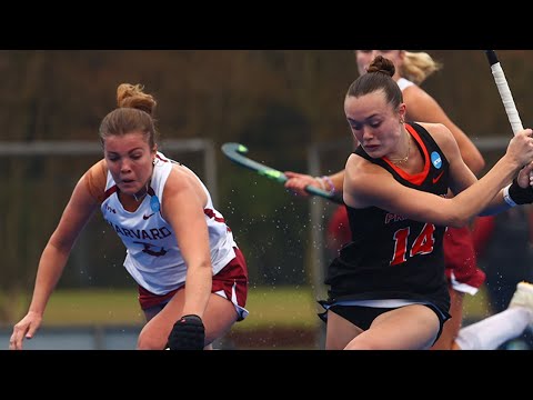 Princeton vs. Harvard: 2025 NCAA DI field hockey semifinal highlights