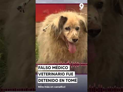 Falso médico veterinario fue detenido en Tomé