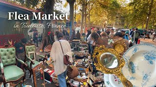 秋のフランス蚤の市🍁 トゥールーズVlog | 段ボールの中から沢山のお宝が！美しいアンティーク食器｜買付け /Flea Market /骨董品 / ブロカント