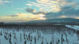 preview picture of video 'Des Hommes...et un Hôtel Dieu, un an aux Hospices de Beaune. Episode 2 : des vignes en hiver'