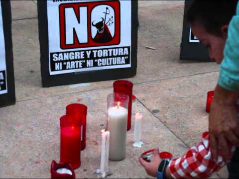 PIEZA RADIOFONICA  MANI ANTITAURINA