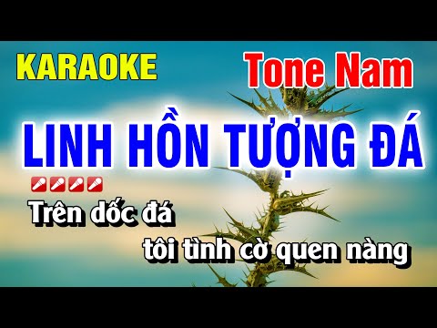 Karaoke Linh Hồn Tượng Đá Tone Nam Nhạc Sống Hay Nhất | Nguyễn Linh
