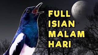 Download lagu MASTERAN KACER GACOR FULL ISIAN MALAM HARI AMPUH MERANGSANG EMOSI DAN CEPAT BONGKAR ISIAN mp3