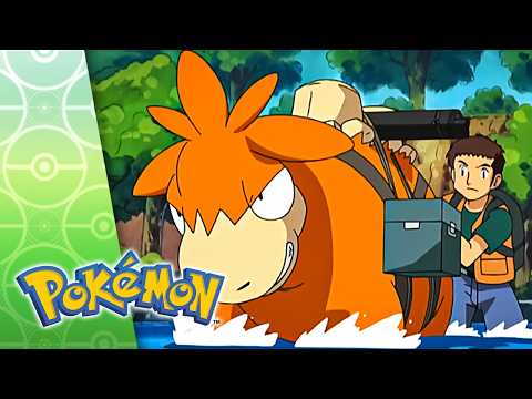 Lights, Camerupt, Action! | POKÉMON FULL EPISODE 46 | Season 7