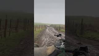 [問卦] 邊牧有多聰明？