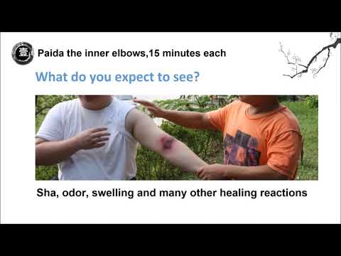 2019 Online PaidaLajin Workshop - Paida inner elbows