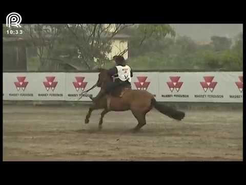 Classificatória Região Sul – 3° lugar fêmeas – Fortuna do Carapuça (Prova: Bayard/Sarmento)