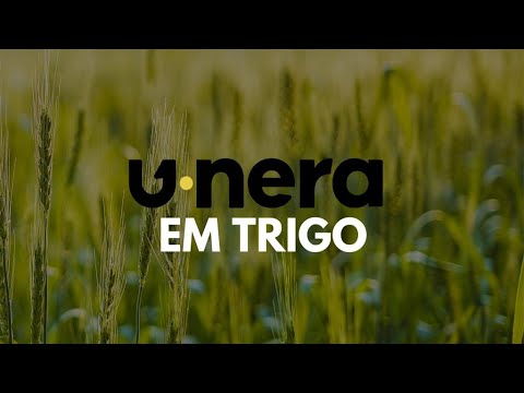 Resultado de U•nera em lavoura de trigo