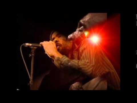 Israel Vibration & The Roots Radics - Greedy Dog - Album "Live Again!"