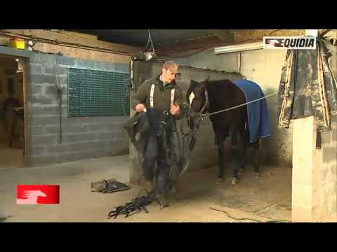 Carnet de pistes : Sébastien Hervalet