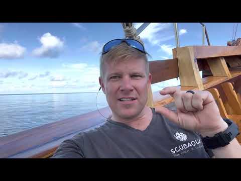 How NOT to use a Garmin Descent Mk2 dive computer. Learn from my mistakes! Adventure Cruiser