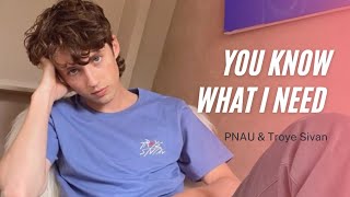 [Vietsub + Lyrics] You Know What I Need - PNAU, Troye Sivan