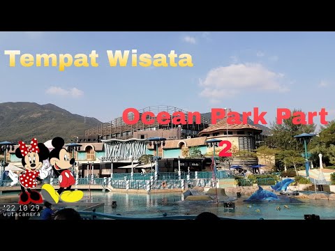 Tempat Wisata Di Hongkong // Ocean Park Part 2