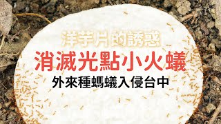 Re: [新聞] 廖老大點名5科系沒路用 昆蟲網紅長文大