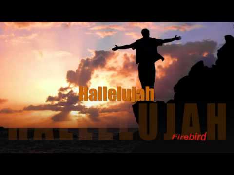 Marin: "Hallelujah" - The Voice of Croatia