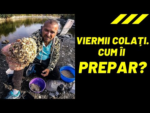 Essay outline nas l yap l r 08 picture