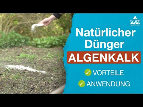 , title : 'Algenkalk Anwendung 🪴 Natürlicher Dünger gegen Schädlinge'