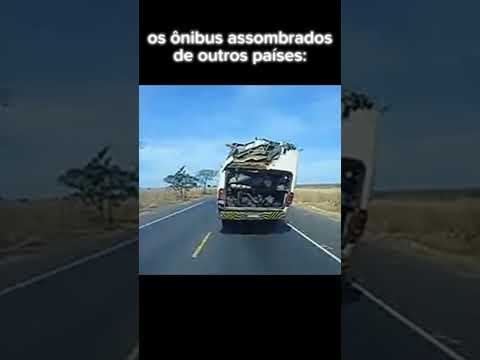 Brasil é insano 💀 #onibus #5813