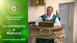 Co-redemptrix And Mediatrix - Sermon by Fr Gomis (16 Nov 2025)
