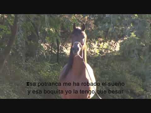 POR ESA YEHUA _- LIBERACION con LETRA