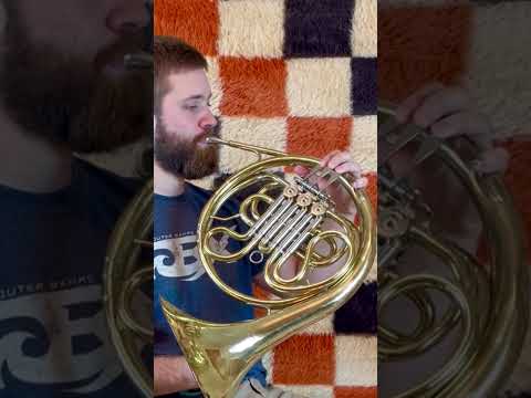 Used York Single French Horn 3 Valve F Key With Case And Mouthpiece (See Video) image 26