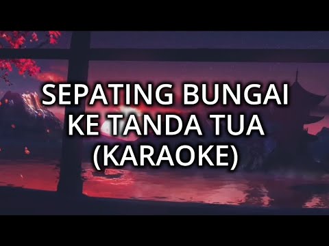SEPATING BUNGAI KE TANDA TUA (KARAOKE) HQ AUDIO