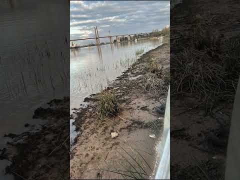 bajante del río Parana de las palmas.