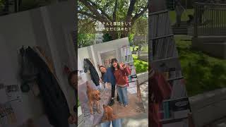 バンクーバーで大人留学🇨🇦
