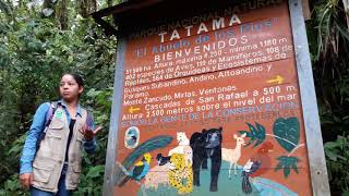 preview picture of video 'Parque Nacional Natural Tatamá'