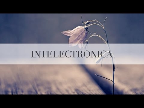 Eocene Nine — Chasm (Original Mix)