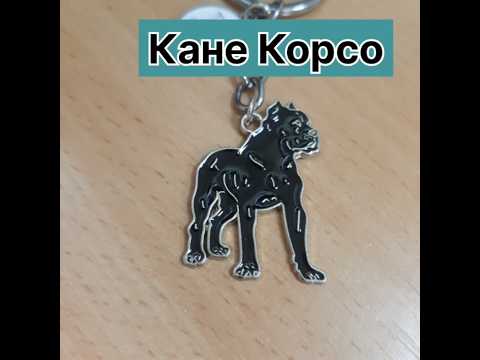 Кане Корсо брелок металлический, подвеска с собакой Кане Корсо - фото 1 - id-p2582084548