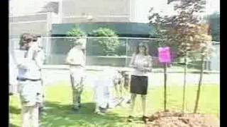 John Dewey HS Reunion 2000 Pt 3. The Tree Dedication.