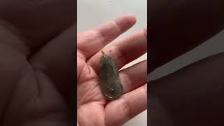 Video 3