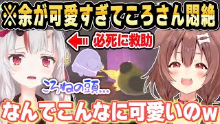 お嬢の救助ムーブが可愛すぎてころさん崩壊ｗｗ【ホロライブ 切り抜き/戌神ころね/百鬼あやめ/さくらみこ/鷹嶺ルイ】