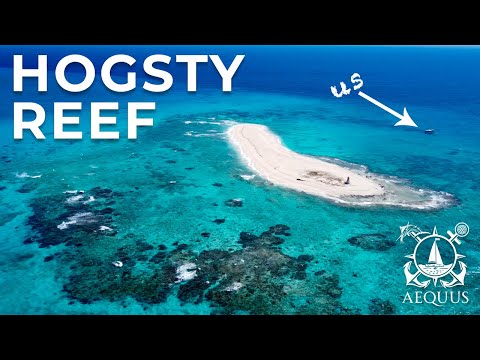 Our MOST remote anchorage yet - Hogsty Reef |  Sailing Aequus - Episode 15