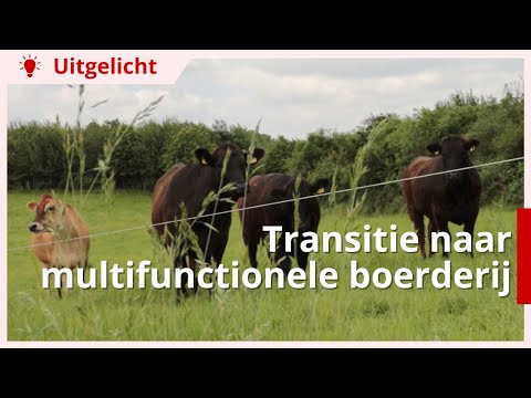 Uitgelicht | Transitie van melkveebedrijf naar multifunctionele boerderij
