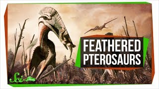 Feathered Reptiles Ruled Earth's Skies... Twice! | SciShow News