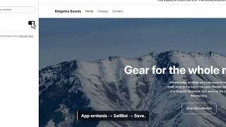 Set up SellBot on Shopify in 90 seconds — App Store install to first chat