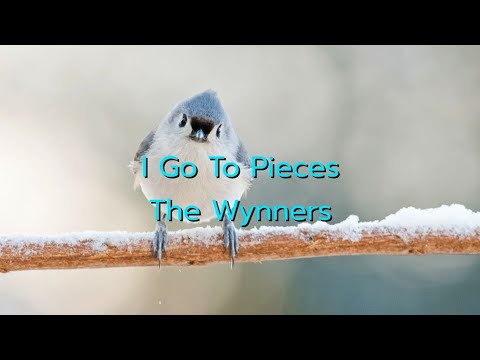 I Go To Pieces - The Wynners