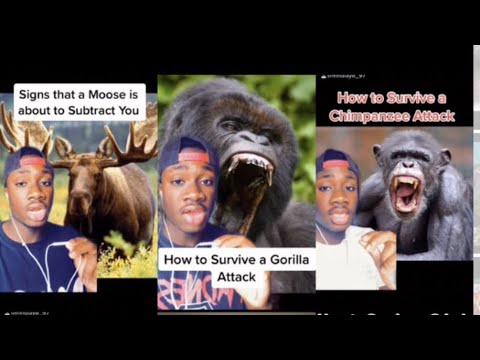 How to Survive Any Animal Attack (Mndiaye_97 Compilations) Original