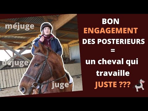 Hind Leg Engagement: How Do I Know If My Horse Is Working Correctly? Explanation and Exercise