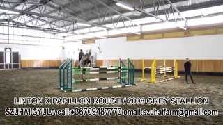 Video von Linton Rouge