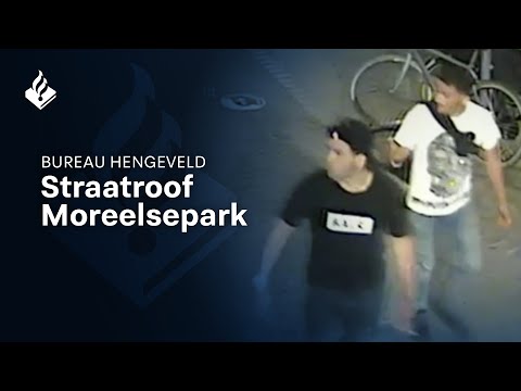 Straatroof Moreelsepark Utrecht