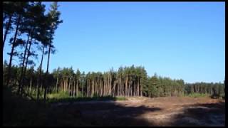 «Медведь» оказался большой собакой