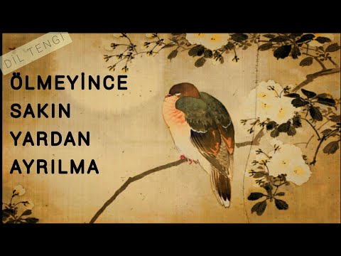 Video Yükleniyor...