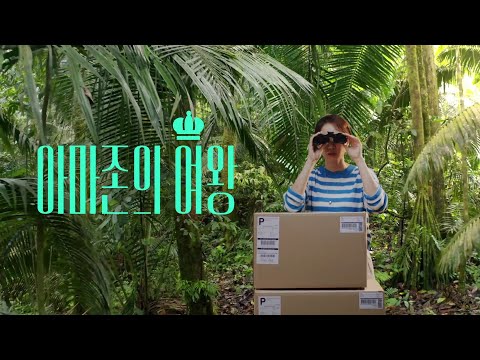 비디오 25