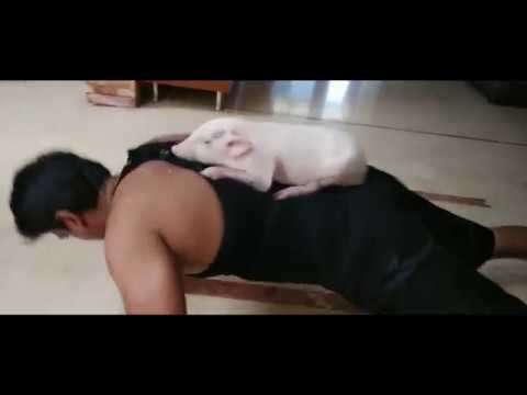 Ravi Babu Workout With His Piglet